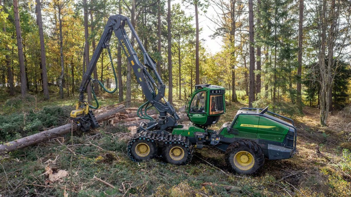 The New Green Giants in the Woods!