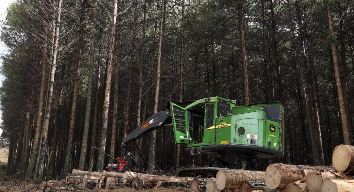 A John Deere forestry machine equipped with a Waratah H219X harvesting head, expertly navigating a South African plantation.