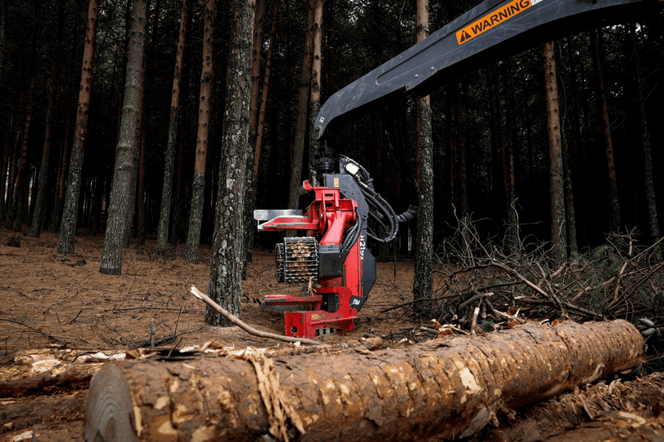 The Waratah H219X harvesting head showcasing its precision and durability in a dense South African plantation.