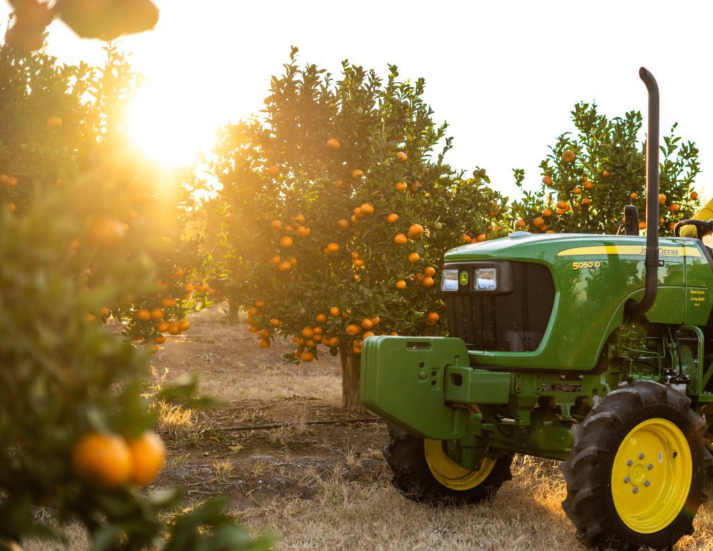 A photo of a John Deere 5050D tractor in a citrus orchard with the sun setting in the back.