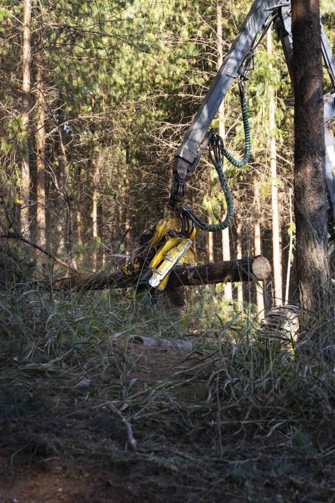 John Deere G480C harvester head cutting timber logs in a forestry operation