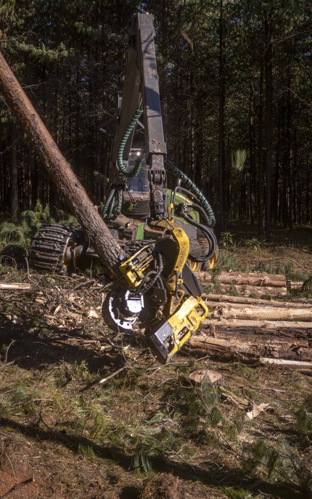 John Deere G480C harvester head processing timber in a forestry operation