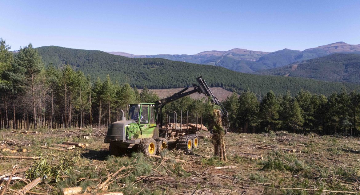John Deere 1510G 8-wheel drive forwarder collecting timber in a plantation